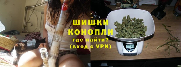 крисы Богородицк