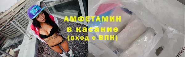 крисы Богородицк