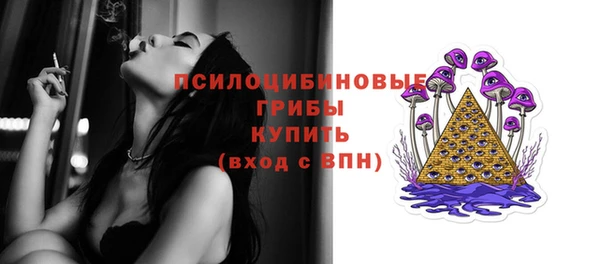 крисы Богородицк