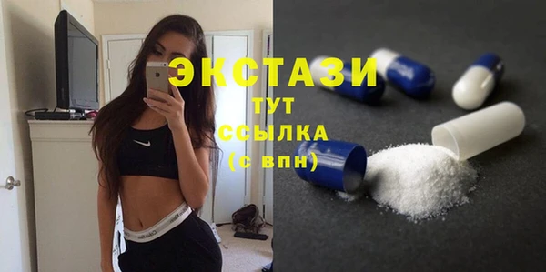 крисы Богородицк