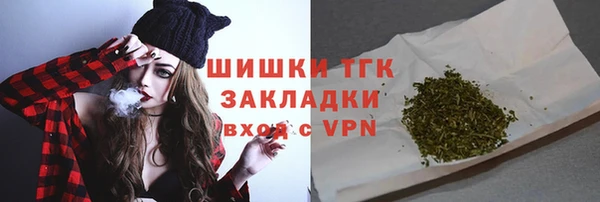крисы Богородицк
