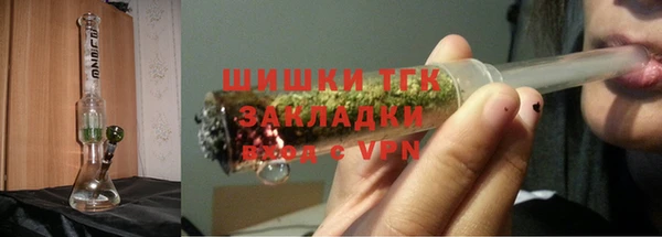 крисы Богородицк