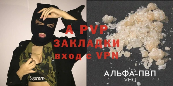 крисы Богородицк