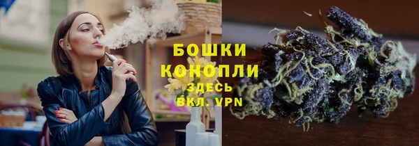 крисы Богородицк